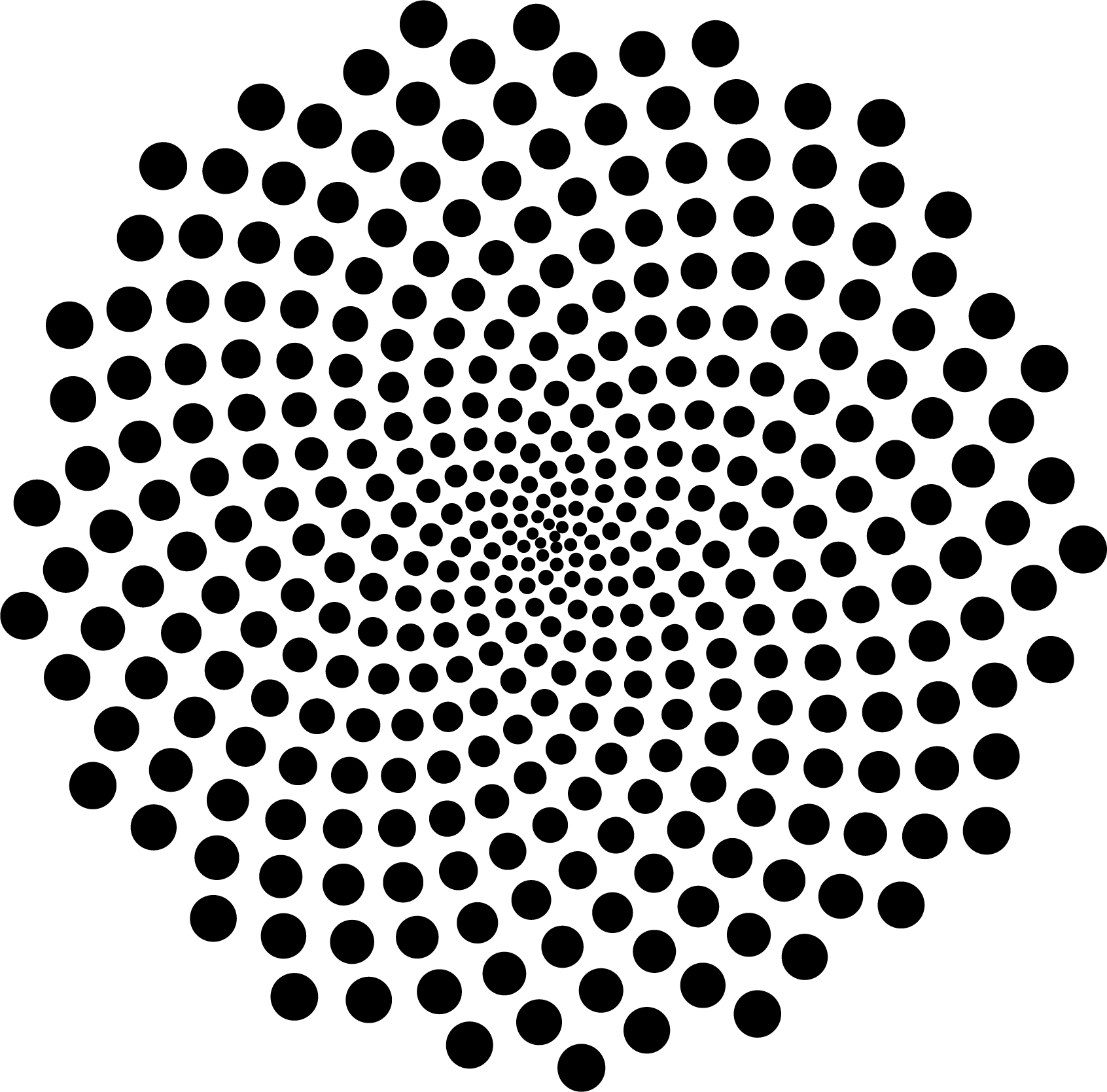 Pine Needle Extract